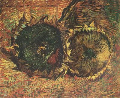 Vincent Van Gogh Two Cut Sunflowers (nn04) Spain oil painting art